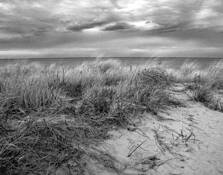 To_the_beach_5
