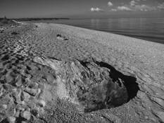 To_the_beach_8