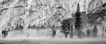 Morning_fog_2