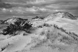 Dunescape_3