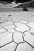 Bone_dry
