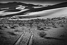 Northern_dunes