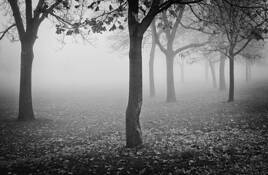 Fall