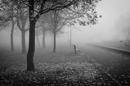 Fogyy_morning