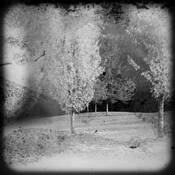 Chapter_01