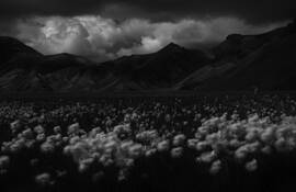 As_above_so_below