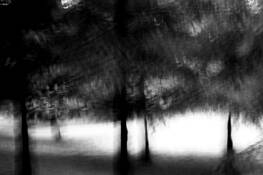 Untitled_1