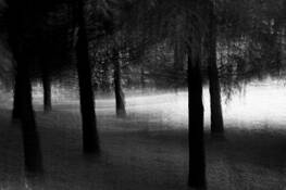 Untitled_10