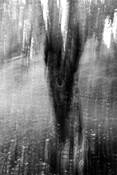 Untitled_11