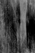 Untitled_12