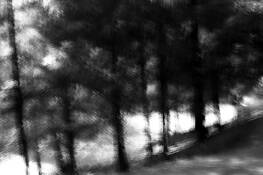 Untitled_2