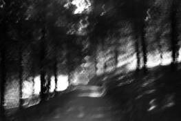 Untitled_3