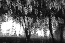 Untitled_5