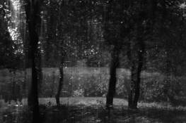 Untitled_6