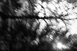 Untitled_7