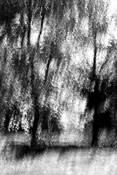 Untitled_8
