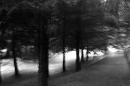 Untitled_9