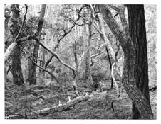 Chaos_theory_part_6