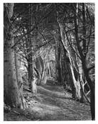 Gateless_gate__1