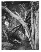 Gateless_gate__5