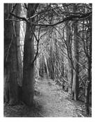 Gateless_gate__6