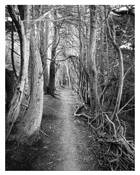 Gateless_gate__8__san_simeon_point