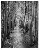Gateless_gate__9