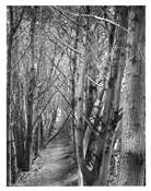 Gateless_gate__4