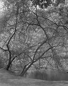 Stow_lake_e