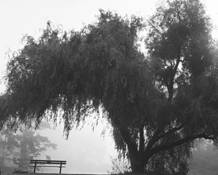 Stow_lake_j