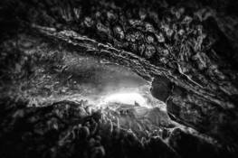 Petrified__10