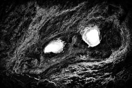 Petrified__11