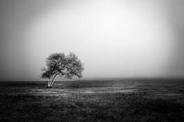 Snp_9
