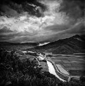 Gathering_tropical_rain