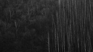 Imperfect_repose__1