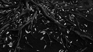Imperfect_repose__11