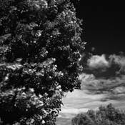Imperfect_repose__12