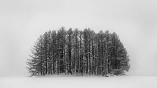 Imperfect_repose__13