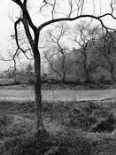 Imperfect_repose__2