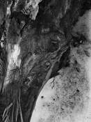 Imperfect_repose__3