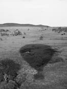 Over_the_serengeti