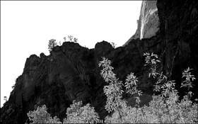 Autumn_at_zion