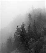 Mystic