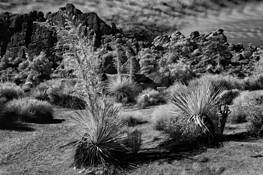 Untitled_12