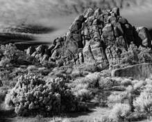Untitled_2