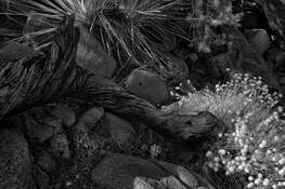 Untitled_3