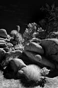 Untitled_6