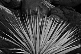 Untitled_8