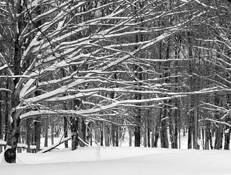 Winter_patterns