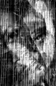 Face_in_transition